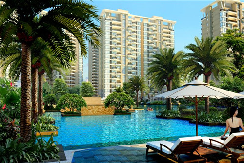 炒油豆腐鸡肉怎么炒（油豆腐烧鸡肉）